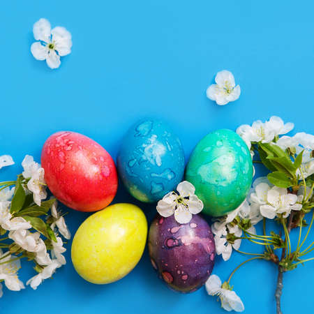 Five colorful easter eggs and flowers on blue background.
