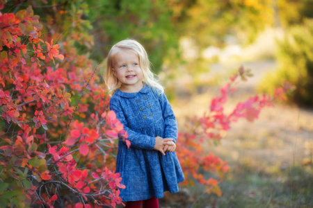 Cute little girl having fun outdoor. Girl portrait in park.の写真素材