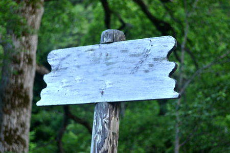 Wooden sign in the  jungle.jpgの写真素材