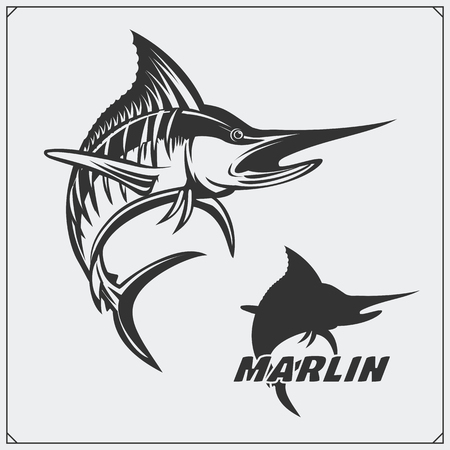 Vector illustration of a marlin fish and fishing design elements.のイラスト素材