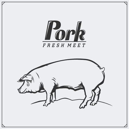 Vector vintage illustration of pig. Fresh pork meat label and emblem.のイラスト素材