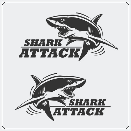The emblem with shark for a sport team.のイラスト素材