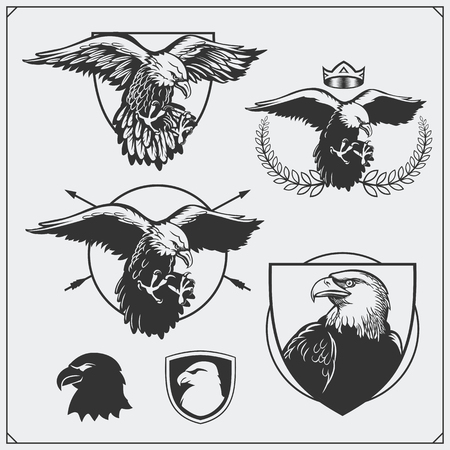 Eagle heraldry coat of arms. Labels, emblems and design elements for sport club.のイラスト素材