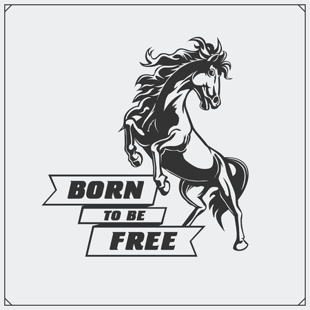 The emblem with a horse for a sport team.のイラスト素材