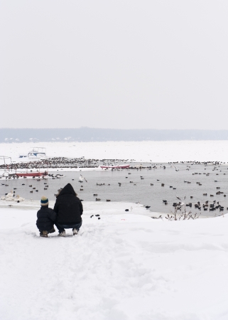 frozen river Danubeの写真素材