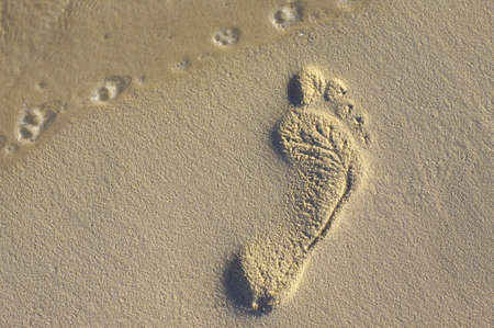 Fun footstep on the coral sandy beach N54の写真素材