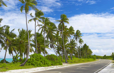 Seascape view  with palmtrees on the iland Gan in Indian  Ocean, Maldives