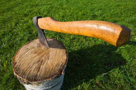 Axe and block on a green lawn