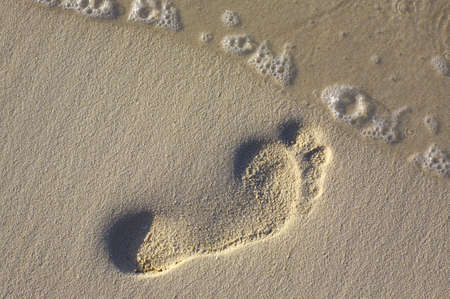 Fun footstep on the coral sandy beach N53の写真素材