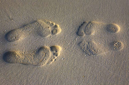 Footprints on the sandy coral beachの写真素材