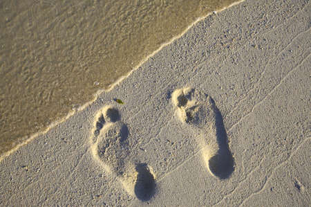 Fun footsteps on a coral sandy beachの写真素材