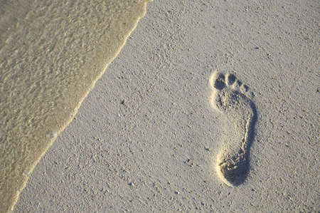 Fun footstep on a coral sandy beachの写真素材