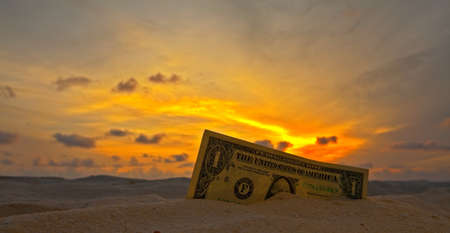 One dollar on a sunsetの写真素材