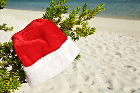 Christmas hat hang on a branch of treeの写真素材