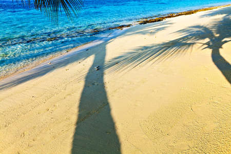 Tropical beach on the island Vilamendhoo in the Indian Ocean, Maldivesの写真素材