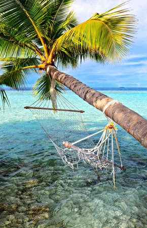 Old hammock, attached to a palm tree on a  beach in The Indian Ocean, Maldivesの写真素材
