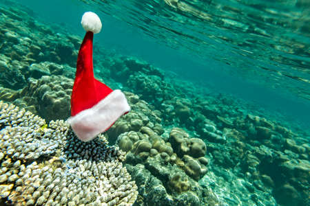 Christmas hat is underwater (he did exist)の写真素材