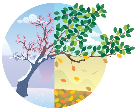 Cartoon illustration representing the cycle of the four seasons. No transparency used. Basic (linear) gradients.   のイラスト素材