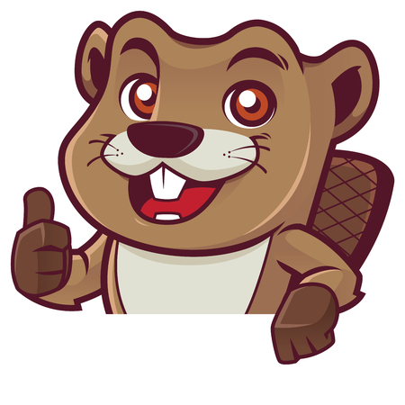 Cartoon mascot of beaver giving you thumb up while standing behind white sign or sheet of paper.のイラスト素材