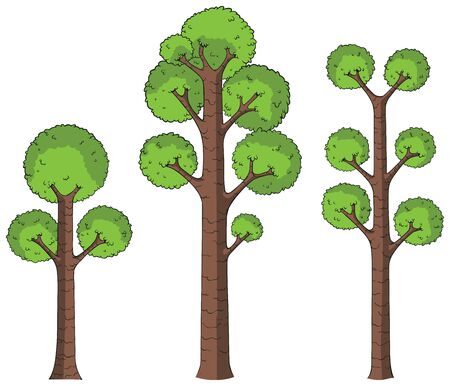 Set of 3 green cartoon trees isolated on white background.のイラスト素材