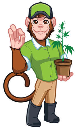 Cartoon mascot for cannabis production, with monkey character.のイラスト素材