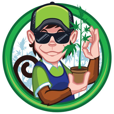 Cartoon mascot for cannabis production, with monkey character.のイラスト素材