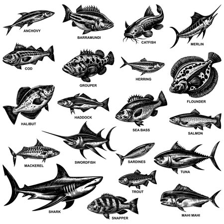 Ocean Fish Linocut Setのイラスト素材