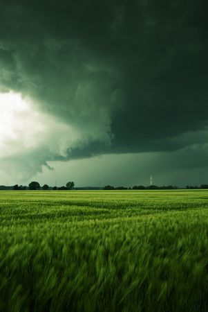 Thundery clouds over a barley fieldの写真素材