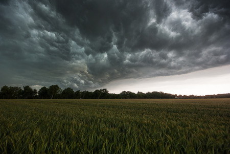 The picture shows a thunderstorm over a field の写真素材