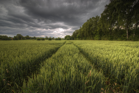The picture shows a field and an approaching storm.の写真素材