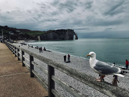 Seagulls on the pier at Etretat, Normandy, Franceの写真素材
