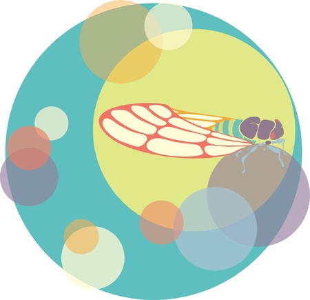 Vector cicada illustration with circles