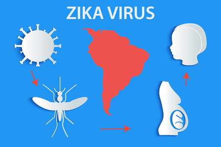 Mosquito aedes, zika virus, baby, pregnant woman with map south america. Zika virus Outbreak, microcephaly and awareness infographics. Paper, origami, 3d concept.のイラスト素材