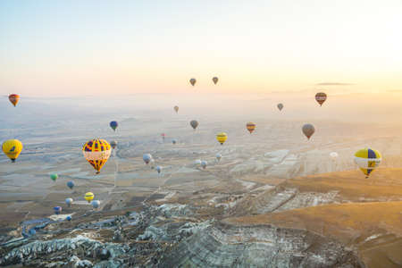 Colorful hot air balloons flying over stunning Olive Trees plantation landscape of Cappadocia, Turkey with beautiful morning sunlight, Cappadocia, Turkey, October 2019のeditorial素材