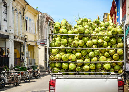 Fresh green coconuts on truck ready to deliver for wholesale marketのeditorial素材