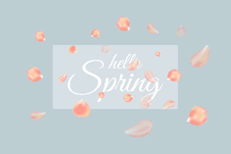Flying petals on a blue background. Vector won with a beautiful inscription Hello Spring.