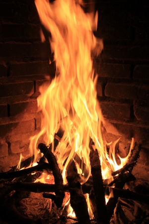 Bonfireの写真素材