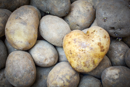 One Potato Shaped hearth in a potatoes group of backgroundの写真素材