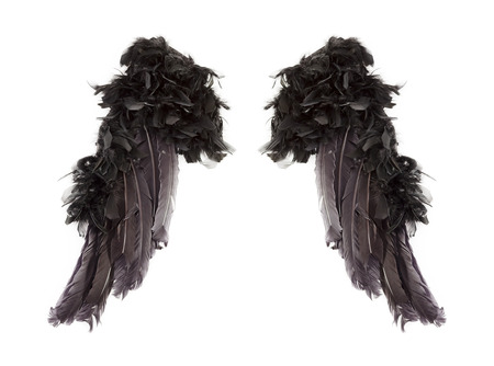 Dark angel wingsの写真素材
