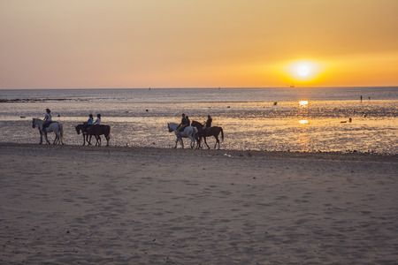 People riding horses walking on the beach at sunset in Sanlucar de Barrameda (Cadiz) - Spainの写真素材