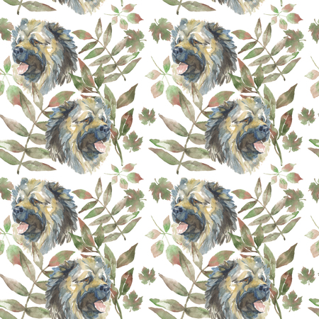 pattern - Caucasian Shepherd Dogの写真素材