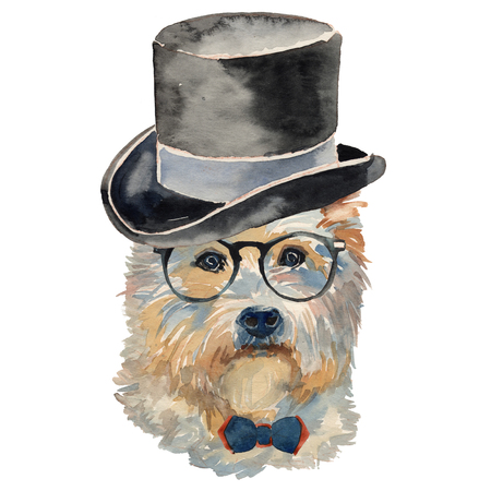 The West Highland White Terrier - hand painted, isolated on white background watercolor dog portraitの写真素材
