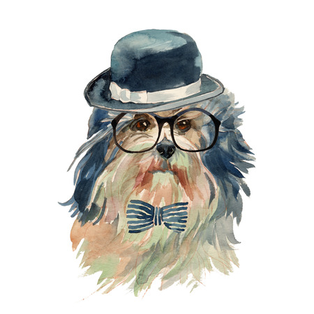 Lowchen, Little Lion Dog  - hand painted, isolated on white background watercolor hipster dog portraitの写真素材