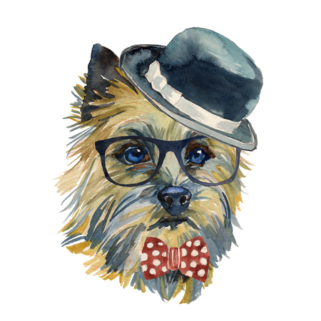 The Cairn Terrier - hand painted, isolated on white background watercolor hipster dog portraitの写真素材
