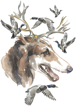 The Russian greyhound, hunter dogs card designs, editable logo, you can enter your logo or textの写真素材