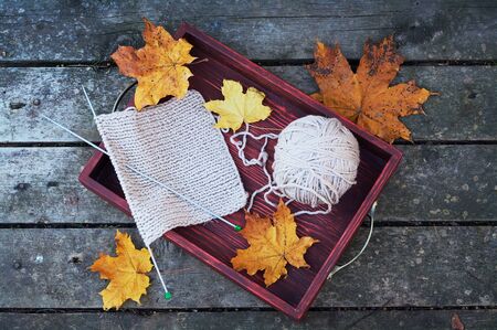 Knitting project in progress. A piece of knitting with ball of yarn and a knitting needles in red wooden tray with dry leaves. Autumn still lifeの写真素材