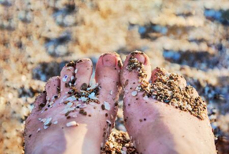 Woman feet on the sand background. Summertime. Barefoot girl. Feet in the sandの写真素材