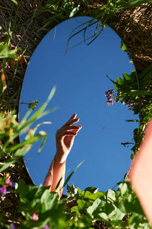 Hand in the mirror on the grass. Reflectionの写真素材