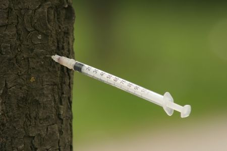 On a needleの写真素材