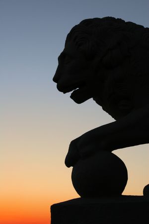 Sunset  lionの写真素材